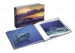 Wyland: Visions of the Sea