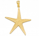 Wyland Starfish Pendant - Medium