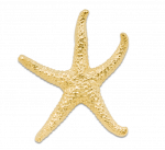 Wyland Starfish Pendant - Large