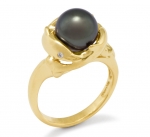 14K Dolphin Ring - Black