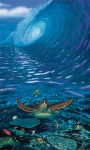 TURTLE TIME