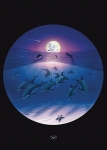 SEA OF CONSCIOUSNESS