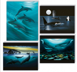 FINE ART MINI PRINT SETS - WYMP-SET03