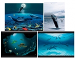 FINE ART MINI PRINT SETS - WYMP-SET06