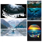 FINE ART MINI PRINT SETS - WYMP-SET07