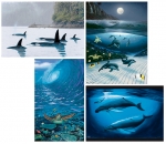 FINE ART MINI PRINT SETS - WYMP-SET14