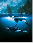 NORTHERN WATERS