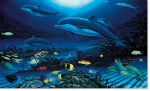 IN THE COMPANY OF DOLPHINS