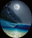 A MOONLIGHT PARADISE