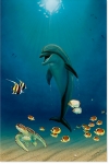DOLPHIN PLAY