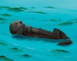 SEA OTTER SEAS (8X10 MATTED)