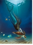 THE MERMAID AND THE TURTLE
