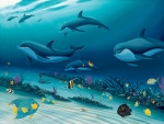 RADIANT REEF