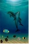DOLPHIN MATES