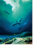 CHILDREN OF THE SEA