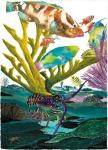 CORAL REEF LIFE (LEFT)
