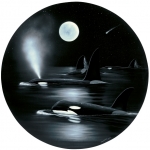 MOONLIGHT JOURNEY