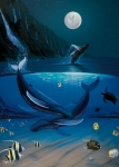 OCEAN PASSION