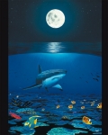 SHARK REEF
