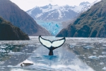 GLACIER WATERS