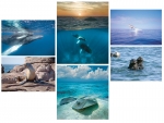 NATURE PHOTOGRAPHY NOTE CARDS SETS - WYNC-SET0803
