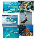 NATURE PHOTOGRAPHY NOTE CARDS SETS - WYNC-SET0805
