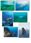 NATURE PHOTOGRAPHY NOTE CARDS SETS - WYNC-SET0808
