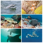 NATURE PHOTOGRAPHY NOTE CARDS SETS - WYNC-SET0809