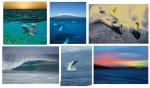 NATURE PHOTOGRAPHY NOTE CARDS SETS - WYNC-SET0818