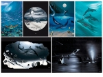 FINE ART NOTE CARD SETS - WYNC-SET0819