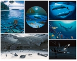 FINE ART NOTE CARD SETS - WYNC-SET0823