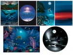 FINE ART NOTE CARD SETS - WYNC-SET0824