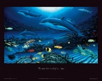 IN THE COMPANY OF DOLPHINS