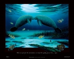 MANATEE ENCOUNTER (36 X 26 POSTER)