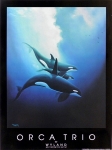 ORCA TRIO