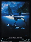 NORTHERN WATERS