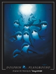 DOLPHIN PLAYGROUND