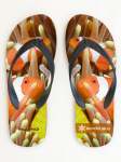 Clown Fish Men's Sandals