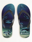 Dolphin Heaven Men's Sandals