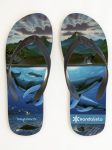 Dawn of Creation Men's Sandals
