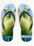 Sea Turtles Men's Sandals