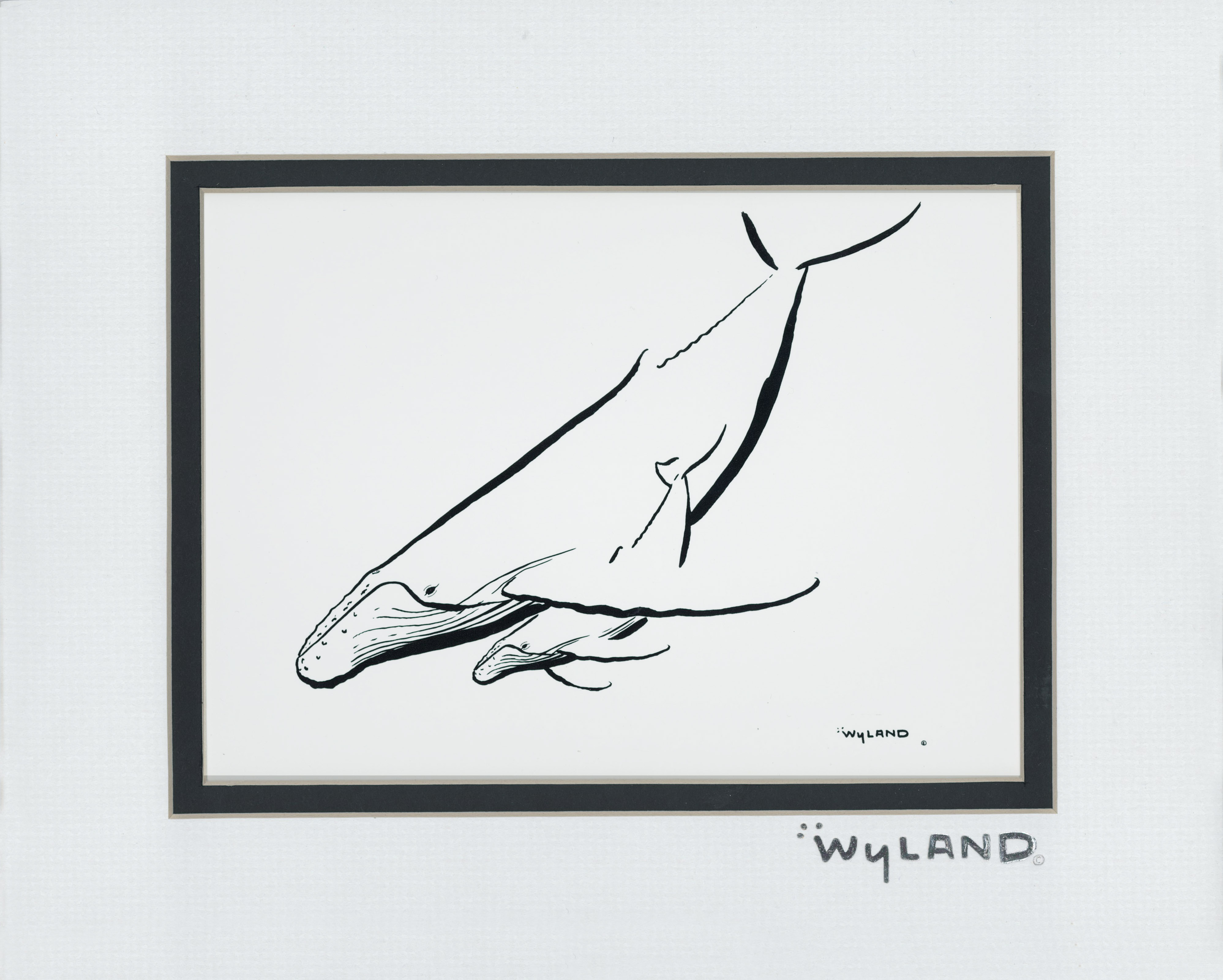 Prints Wyland Humpback With Calf 10 X 8